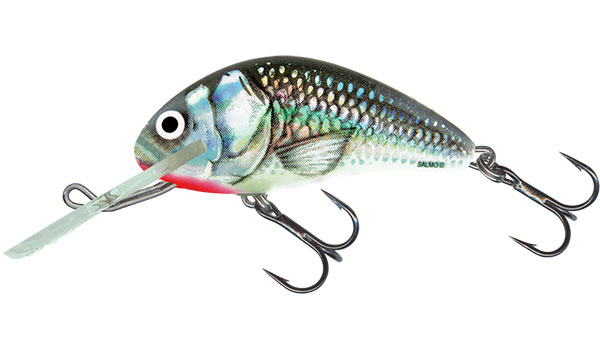 Salmo Hornet Sinking 4cm